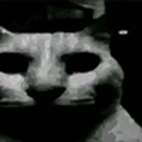 https://dnqpn1q26kubc.cloudfront.net/1729382585312-1000001712.webp