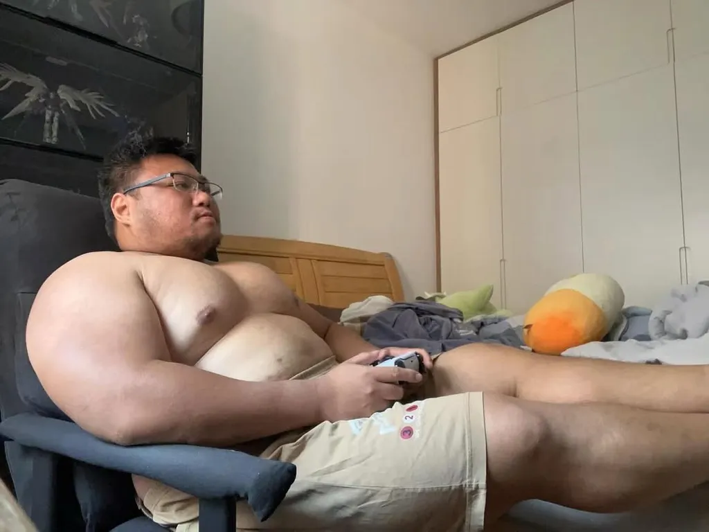 🎮🐼