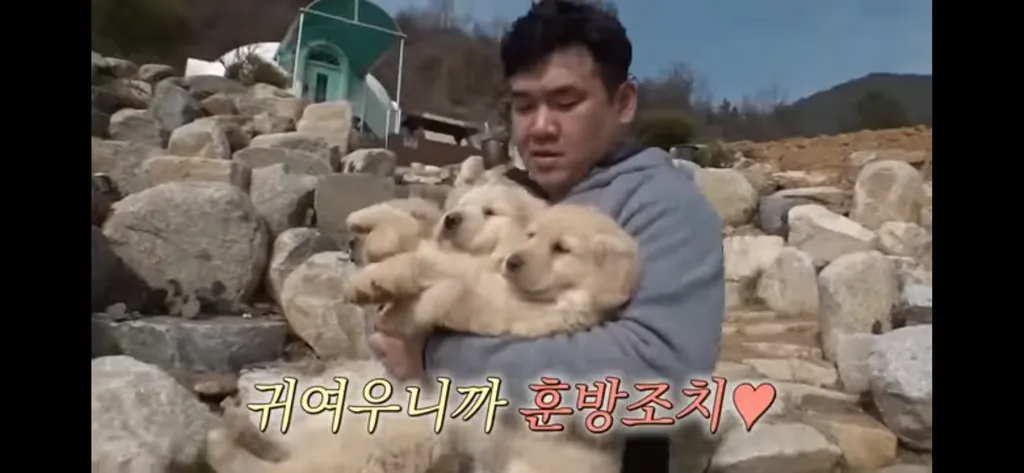 감성정화용 댕댕이와 댕아빠